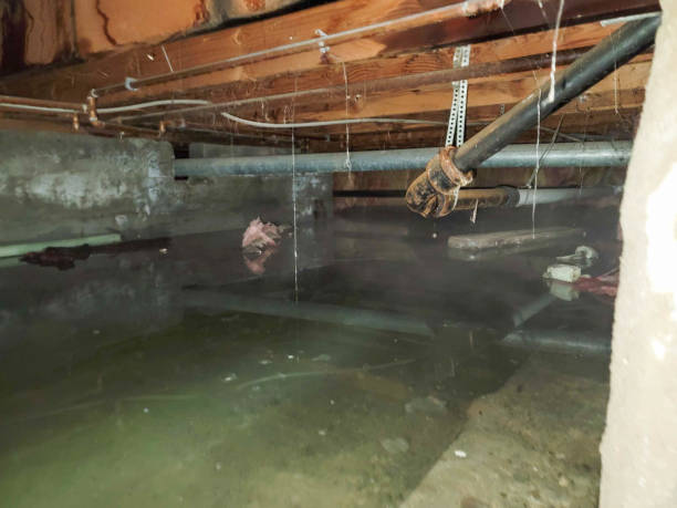 Reliable KY Water damage restoration Solutions