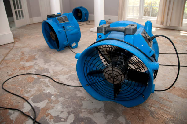 Best Water damage restoration experts  in Oakbrook, KY