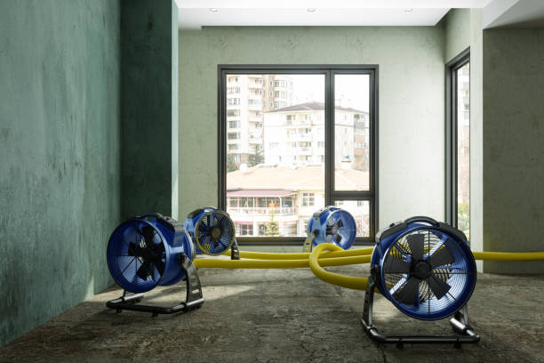 Best Water damage contractors near me  in Oakbrook, KY