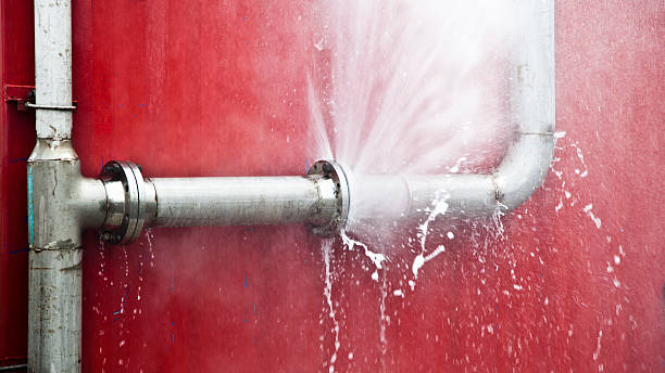 Best Professional water damage repair  in Oakbrook, KY